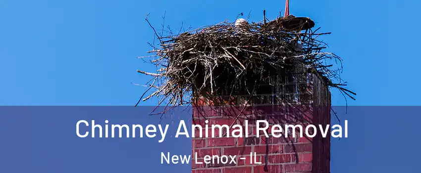 Chimney Animal Removal New Lenox - IL