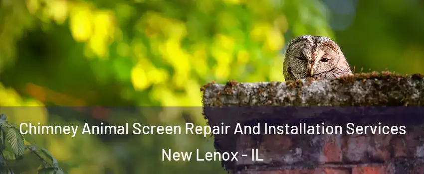  Chimney Animal Screen Repair And Installation Services New Lenox - IL
