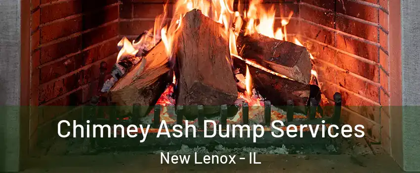  Chimney Ash Dump Services New Lenox - IL