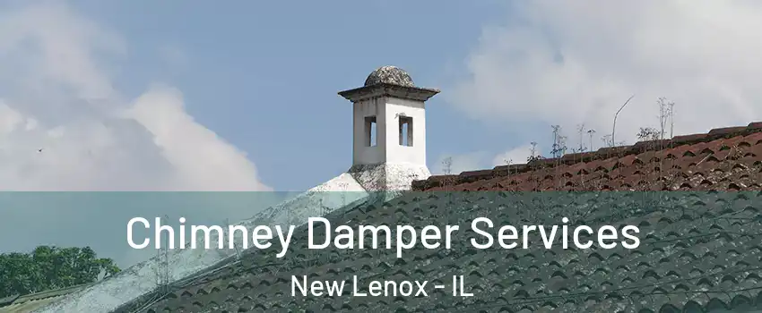  Chimney Damper Services New Lenox - IL