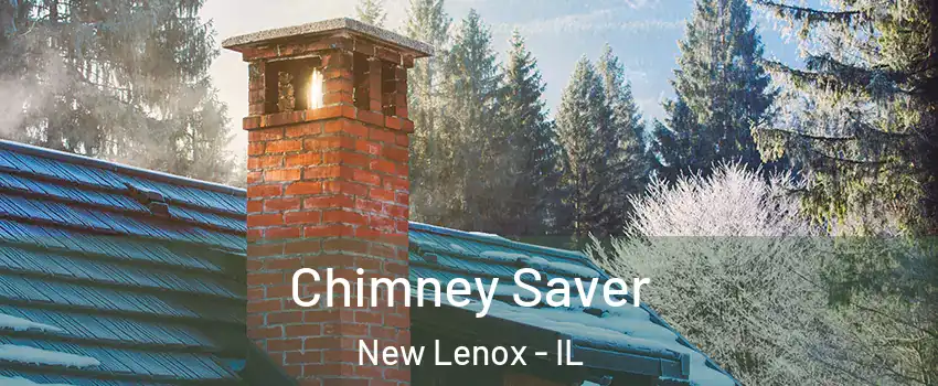  Chimney Saver New Lenox - IL