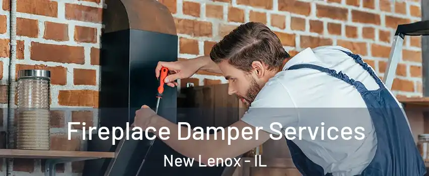 Fireplace Damper Services New Lenox - IL