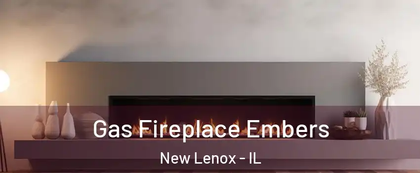  Gas Fireplace Embers New Lenox - IL