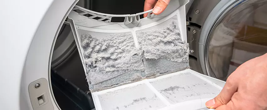 Best Dryer Lint Removal Company in New Lenox, Illinois