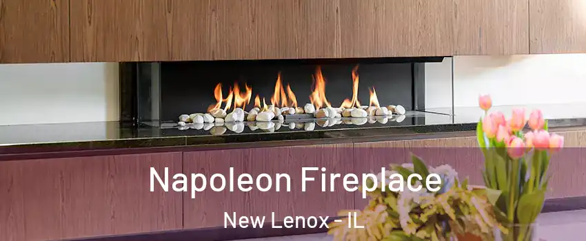  Napoleon Fireplace New Lenox - IL