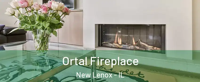  Ortal Fireplace New Lenox - IL